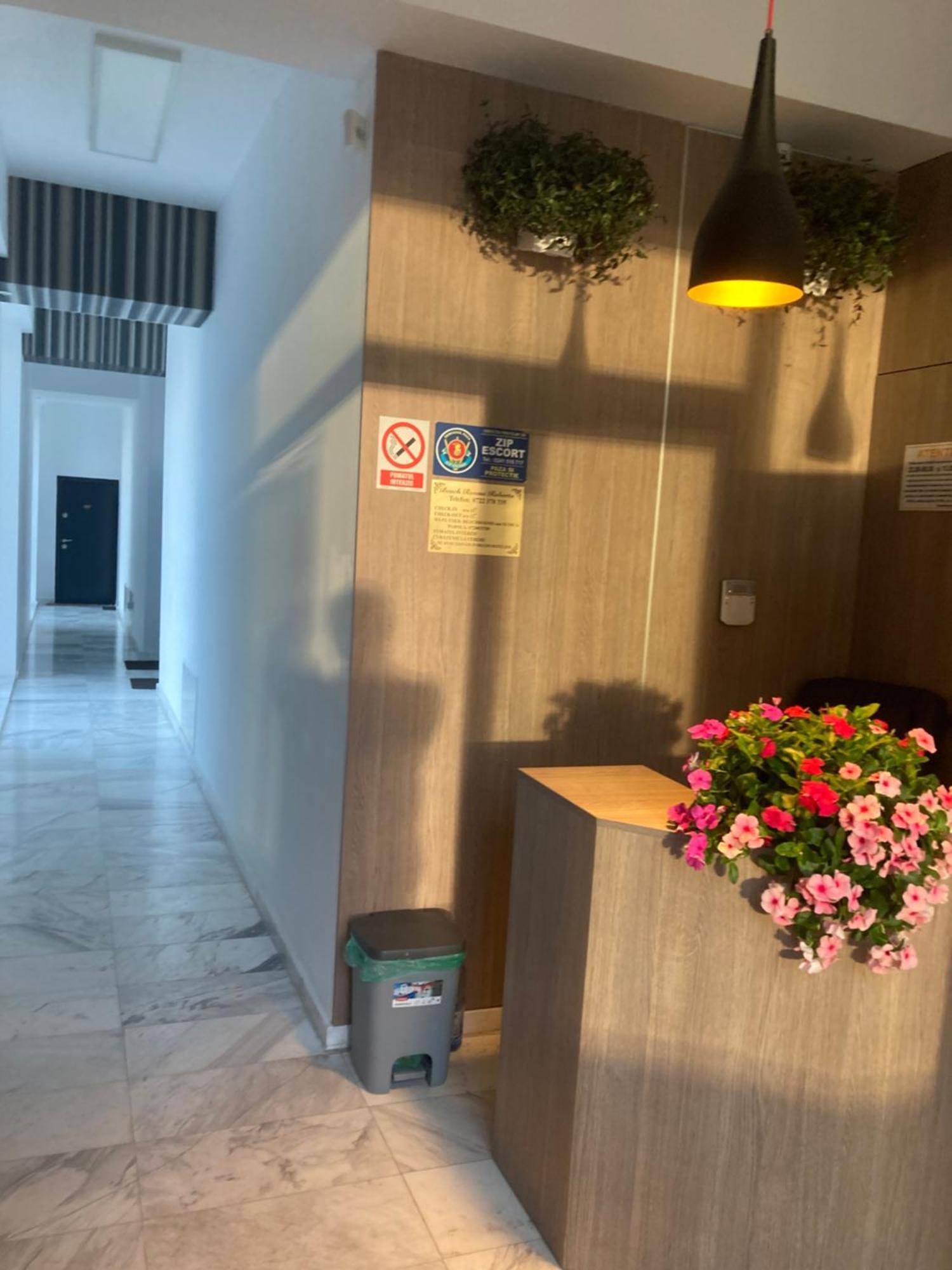 Beach Rooms Roberta Mamaia Exterior photo
